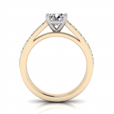 Pave Set Shank | Four Claw Setting