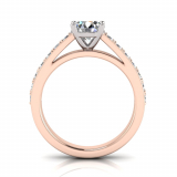 Pave Set Shank | Four Claw Setting