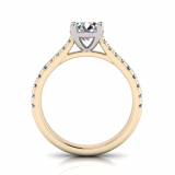 Scalloped Set Shoulder Shank | Four Claw Setting