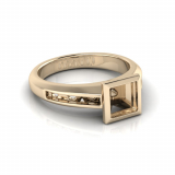 Channel Set Shank | Rub-Over Setting