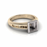 Channel Set Shank | Rub-Over Setting