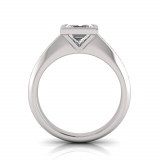 Channel Set Shank | Rub-Over Setting