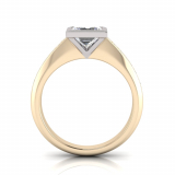 Channel Set Shank | Rub-Over Setting