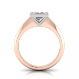 Channel Set Shank | Rub-Over Setting