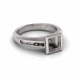 Channel Set Shank | Rub-Over Setting