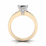 Channel Set Shank | Princess Four Claw Setting