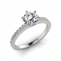 Scallop Set Shank | Six Claw Setting