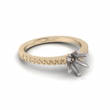 Scallop Set Shank | Six Claw Setting