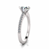 Scallop Set Shank | Six Claw Setting