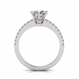 Scallop Set Shank | Six Claw Setting