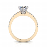 Scallop Set Shank | Six Claw Setting