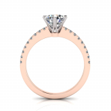 Scallop Set Shank | Six Claw Setting