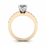 Pave Set Shoulder Shank | Four Claw Setting