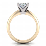 Knife Edge To Half Round Shank | Four Claw Setting