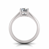 Cushion Stone Claw Set | Half Round Shank