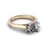 Princess And Baguette Claw Set I Half Round Shank