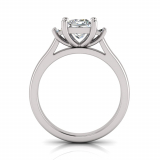 Princess And Baguette Claw Set I Half Round Shank