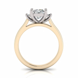 Princess And Baguette Claw Set I Half Round Shank