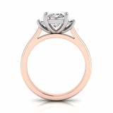 Princess And Baguette Claw Set I Half Round Shank