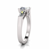 Princess And Tapered Baguette | Flat Shank