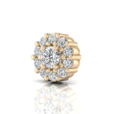 Round Claw Set Halo Earring