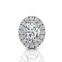 Single Scallop Set Oval Halo Earring