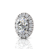 Single Scallop Set Oval Halo Earring