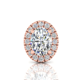 Single Scallop Set Oval Halo Earring