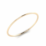 2mm Wide Half-Round Profile Bangle Size S