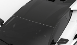 1016 Industries Lamborghini Huracan LP610 Roof