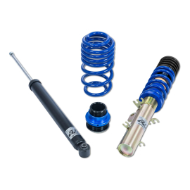 ap Coilover Suspension for VW Group (1M2, 1U2, 1U5, 1J, 1J2, 1J6, 1J_) Toledo, Octavia, Bora, Golf IV