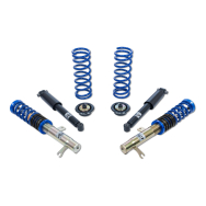 ap Coilover Suspension for Ford (DN1, DNW) Focus I Turnier