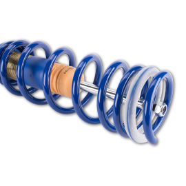 ap Coilover Suspension for BMW (F10, F06, F01, F02, F03, F04) 5, 6, 7 Series