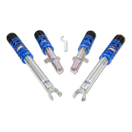 ap Coilover Suspension Galvanized Steel for Ford (ECT) Puma