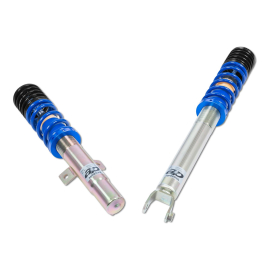 ap Coilover Suspension Galvanized Steel for Ford (ECT) Puma