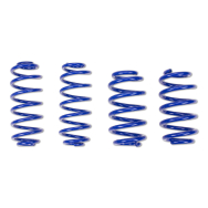 ap Lowering Spring Set for OPEL (T98) Astra G