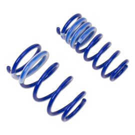 ap Lowering Springs Set for Opel Vectra A (J89, F19, M19)