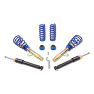 ap Coilover Suspension Galvanized Steel for BMW (F30/F31/F34) 3 Series & (F32/F33/F36) 4 Series