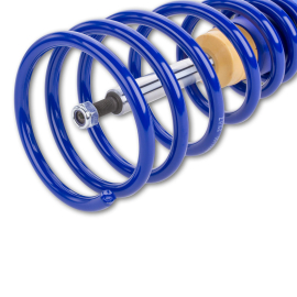 ap Coilover Suspension Galvanized Steel for BMW (F30/F31/F34) 3 Series & (F32/F33/F36) 4 Series