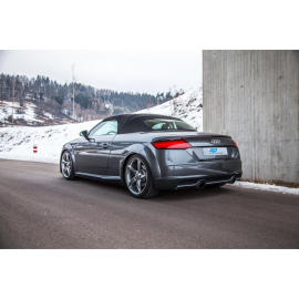 ap Coilover Suspension for Audi (FV, 8J) TT