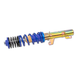 ap Coilover Suspension for (8L/1M1/1U2/1U5/1J/1J2/1J6/1J_) A3, Leon, Octavia, Bora, Golf IV