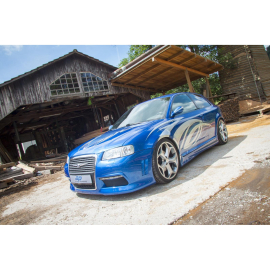 ap Coilover Suspension for (8L/1M1/1U2/1U5/1J/1J2/1J6/1J_) A3, Leon, Octavia, Bora, Golf IV