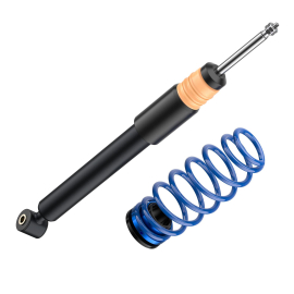 ap Coilover Suspension for VW (AW) Polo VI / SEAT (KJ1) Ibiza Mk V