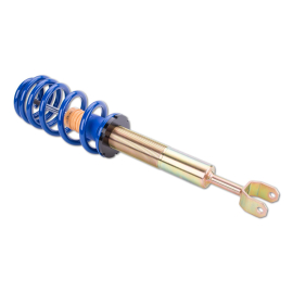 ap Coilover Suspension for Audi (4B) A6, VW (3B, 3BG, 3BL, 3BS) Passat