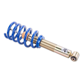 ap Coilover Suspension for Audi (4B) A6, VW (3B, 3BG, 3BL, 3BS) Passat