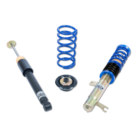 ap Coilover Suspension for Ford (DA1/DFW) Focus I