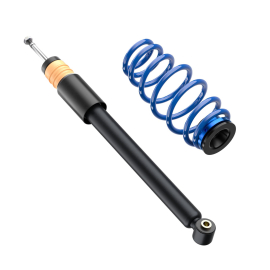 ap Coilover Suspension for BMW (F20, F21, F22, F23, F30, F80, F32, F82) 1, 2, 3 & 4 Series