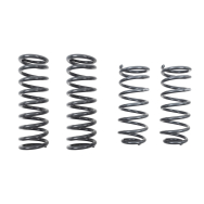 BELLTECH 5841 MUSCLE CAR SPRING SET