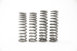 Velocity AP Aston Martin DB12 Progressive Taper Sport Lowering Springs