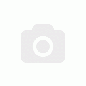 VelocityAP Lamborghini Gallardo Gen 1 2004-2008 Flywheel